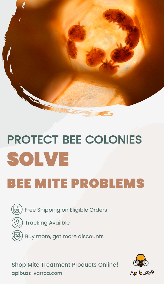 Links to buy the apibuzz bee mite treatment product range online