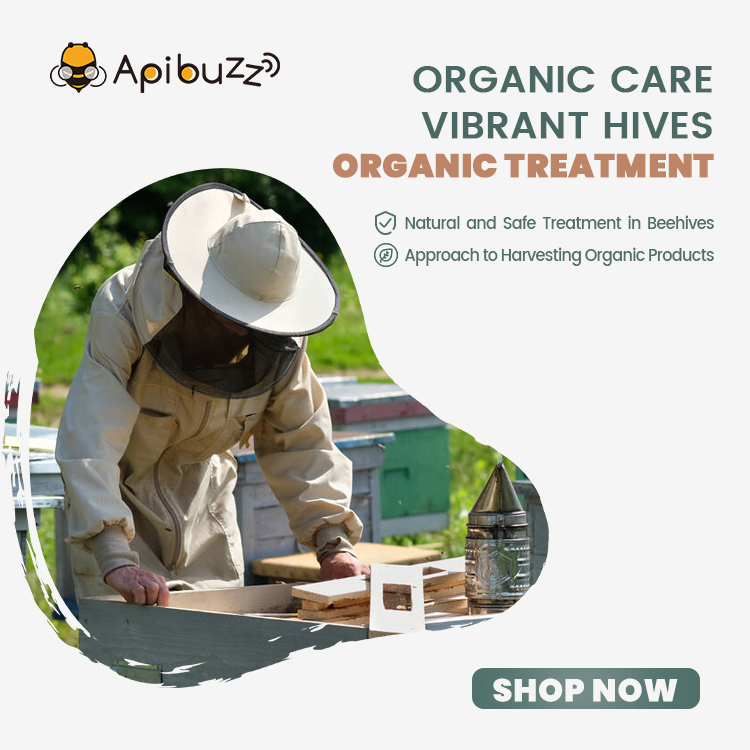 Links to buy the apibuzz organic bee mite treatment product range online