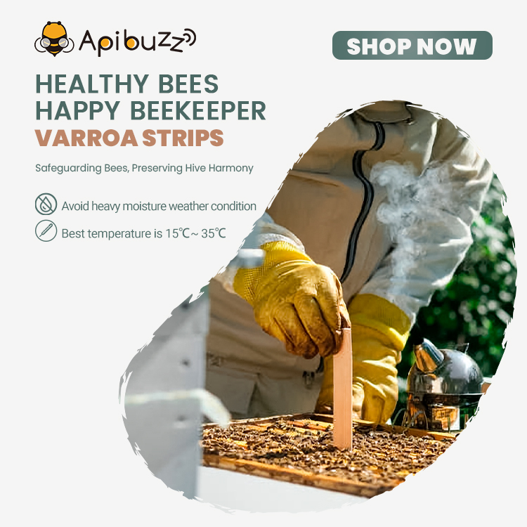 Link to buy the apibuzz bee mite treatment strips range online